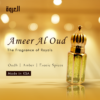 Ameer al oud